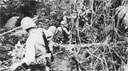 Heavy undergrowth on the Ishikawa Isthmus hinders the progress of a 4th Marines patrol advancing to the north of Okinawa.