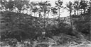 North bank of the Bishi Gawa shows the typical integrated tomb-cave-dugout
defenses which characterized Japanese organization of Okinawan terrain