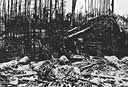 Japanese 20-centimeter anti-boat battery located on Bangi Point