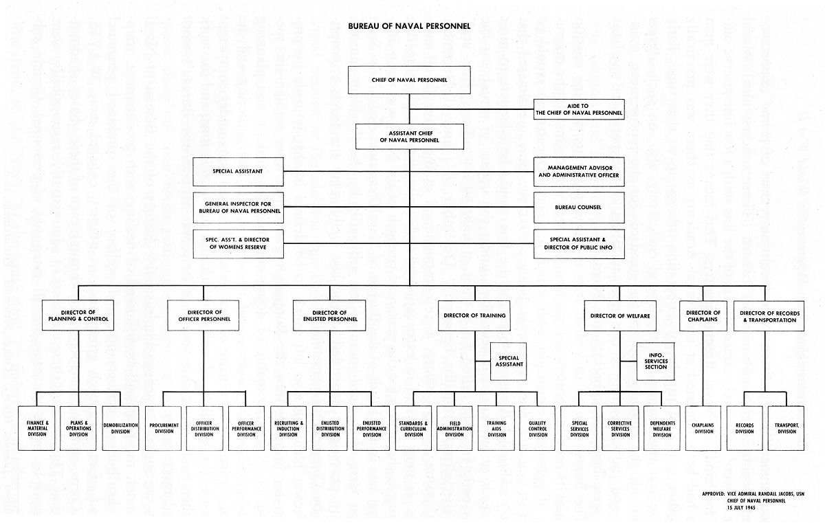Bumed Organizational Chart