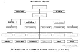 Fig. 28--Organization of Bureau of Medicine and Surgery (25 Sept. 1945)