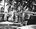 Men of the 36th Battalion Erecting Dallas Huts, Espiritu Santo