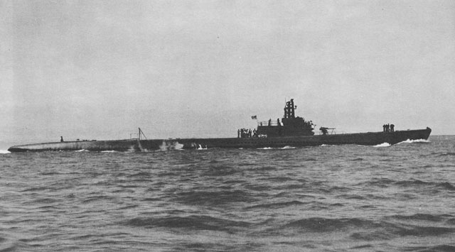 Swordfish