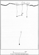 Figure 4.--Boat division lands assault platoon.