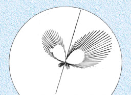 lack of symmetry pattern on scope