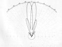Figure 126--Radiation pattern of a lobe-switching fire control rada