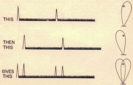 Figure showing the left and right lobes then both at the same time.