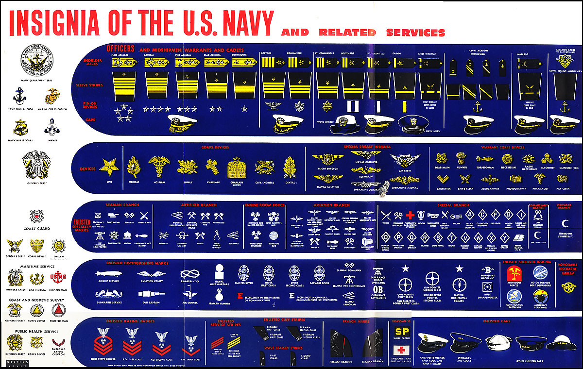 US Navy Rank Insignia