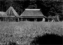 Plate 4--2. Thatch-roofed Farmer's House