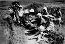 2. rest period during work at rice transplanting