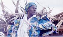 Afro-Louisiana History and Genealogy.
