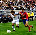 YCJ Footy Photo Service