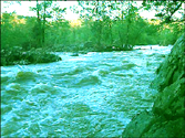 An image of the Haw River.