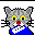 cat and disk icon