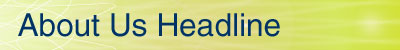 About us headline