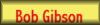 Bob Gibson Page