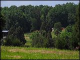 080529-19