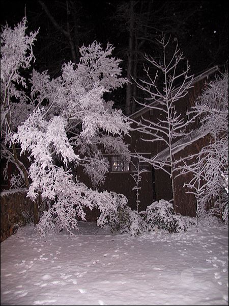 090302-01.jpg