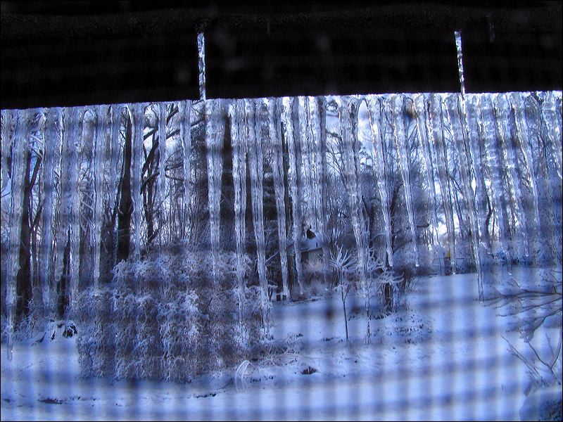 090302-06.jpg