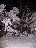 090302-01