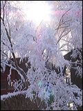 090302-05