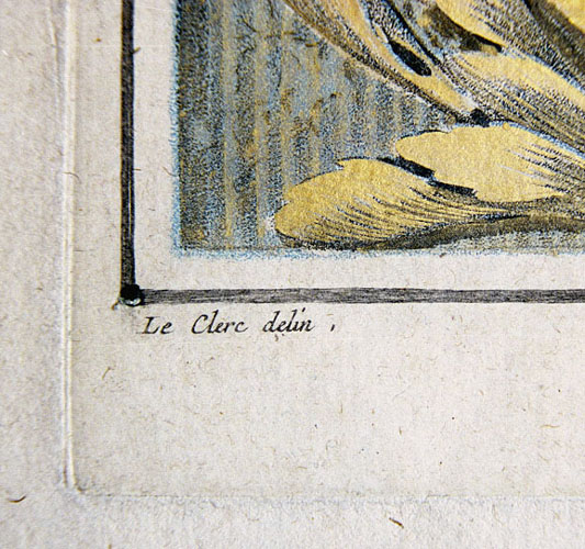 illustration 14