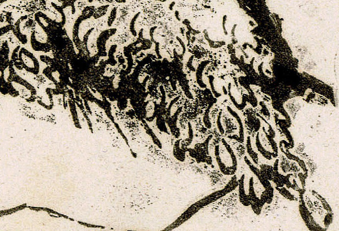 illustration 35