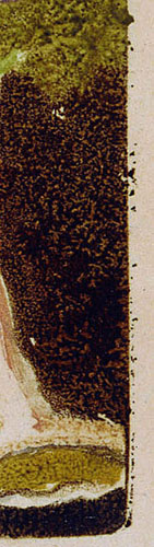 illustration 37