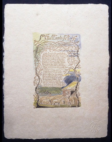 illustration 50