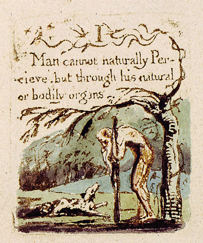 illustration 6