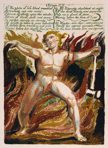 illustration 7
