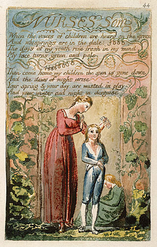 illustration 8