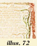 illustration 72