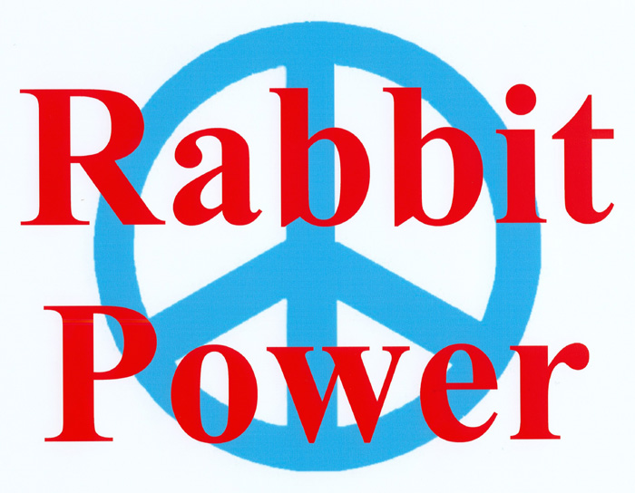 RABBIT
                                          POWER!