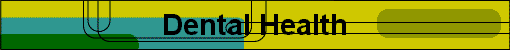  Dental Health 