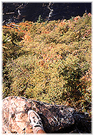[Lover's Leap]