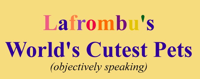 LAfromBU's World's Cutest Pets