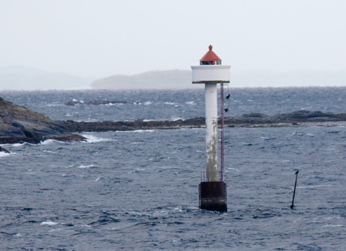 Ringflua Light