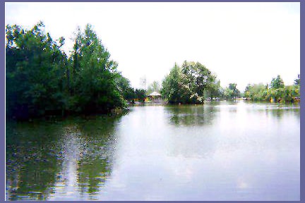 Lake Picture