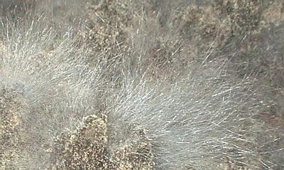 7a7595e.jpg