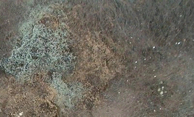 7a76024.jpg
