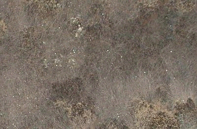 7a75df6.jpg
