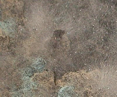 7a75b60.jpg