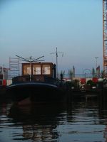 Filename=lm_los_020.jpg
Filesize=44KB
Dimensions=452x600
Date added=Nov 07, 2008 lm_los_020.jpg