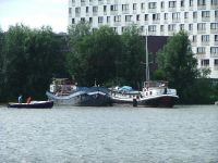 Filename=lm_los_095.jpg
Filesize=133KB
Dimensions=797x600
Date added=Nov 07, 2008 lm_los_095.jpg