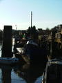Filename=wq_1.JPG
Filesize=37KiB
Dimensions=451x600
Date added=Jan 03, 2007 wq_1.JPG