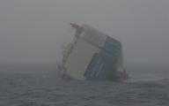 Filename=ecougar.jpg
Filesize=23KiB
Dimensions=900x561
Date added=Aug 25, 2006 ecougar.jpg
