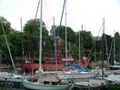 Filename=scarweather171505.jpg
Filesize=184KiB
Dimensions=900x677
Date added=Sep 05, 2005 scarweather171505.jpg