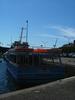 Filename=glenii_2.jpg
Filesize=87KiB
Dimensions=677x900
Date added=Sep 18, 2005 glenii_2.jpg