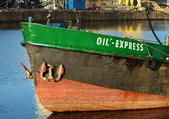Filename=800px_OilExpress_kop.jpg
Filesize=225KiB
Dimensions=800x565
Date added=Jan 18, 2008 800px_OilExpress_kop.jpg